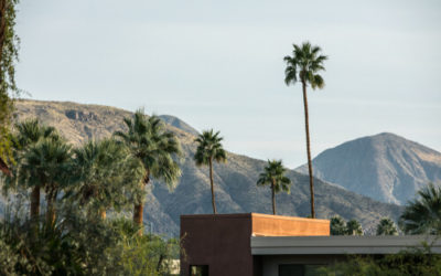 Palm Springs Studio