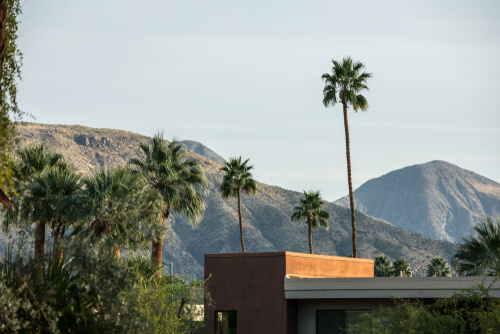 Palm Springs Studio