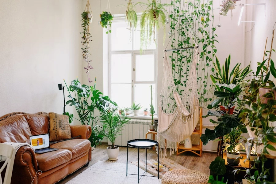 plant-based-design
