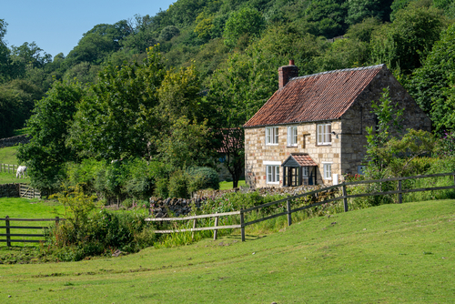 Eclectic Countryside Overhaul